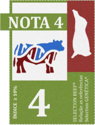 Nota USBeef 4 Nota USBeef 4