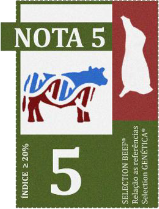 Nota USBeef 5 Nota USBeef 5