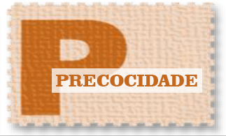 Picanha