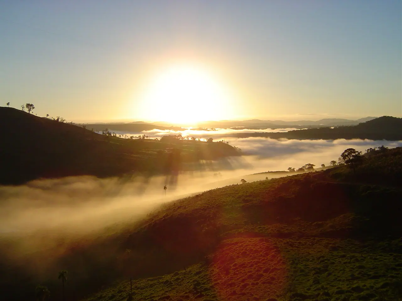 Amanhecer com neblina sobre a serra em fazenda da Guapiara