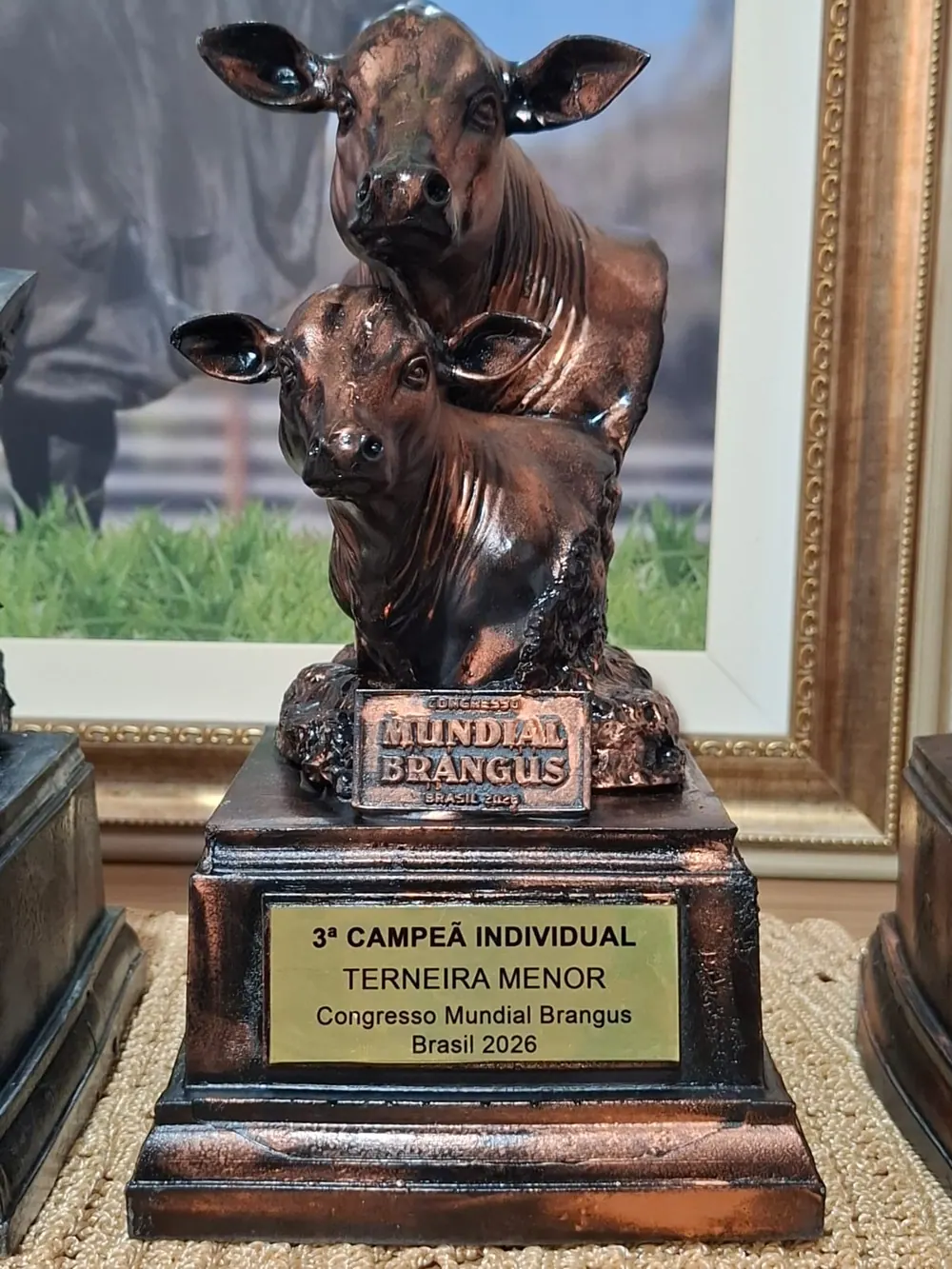 Troféu 3ª campeã individual terneira menor, Congresso Mundial Brangus 2026, conquistado pela Brangus Guapiara