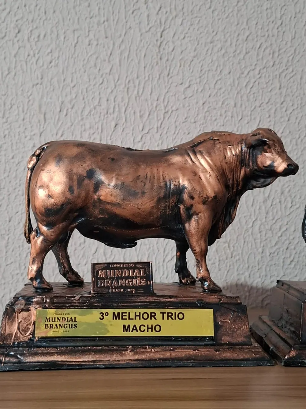 Troféu 3º melhor trio macho, Congresso Mundial Brangus 2026, conquistado pela Brangus Guapiara