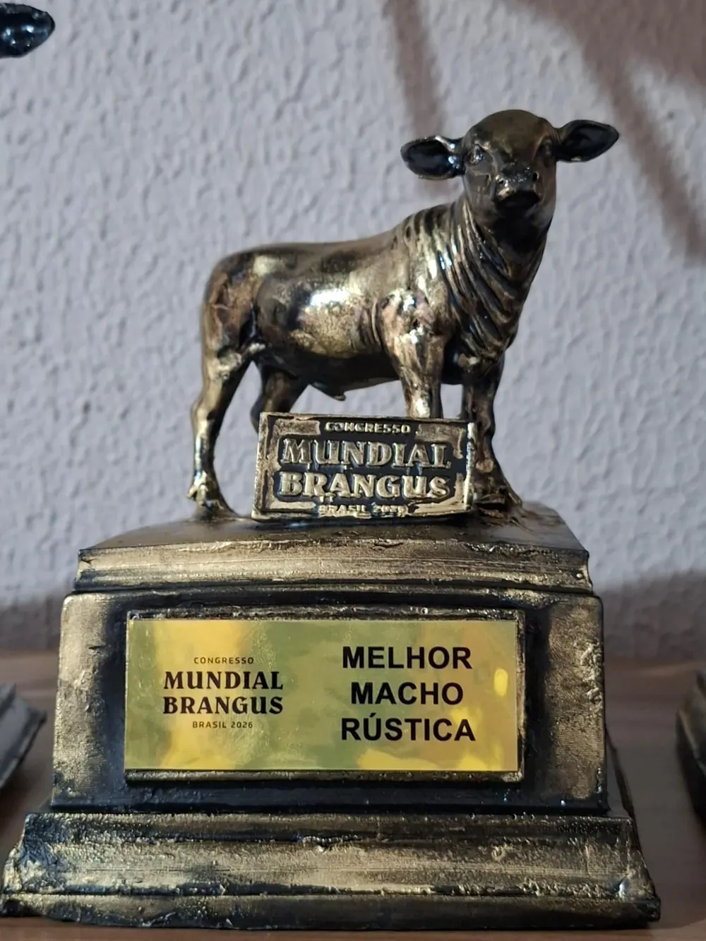 Troféu Melhor macho rústica, Congresso Mundial Brangus 2026, conquistado pela Brangus Guapiara