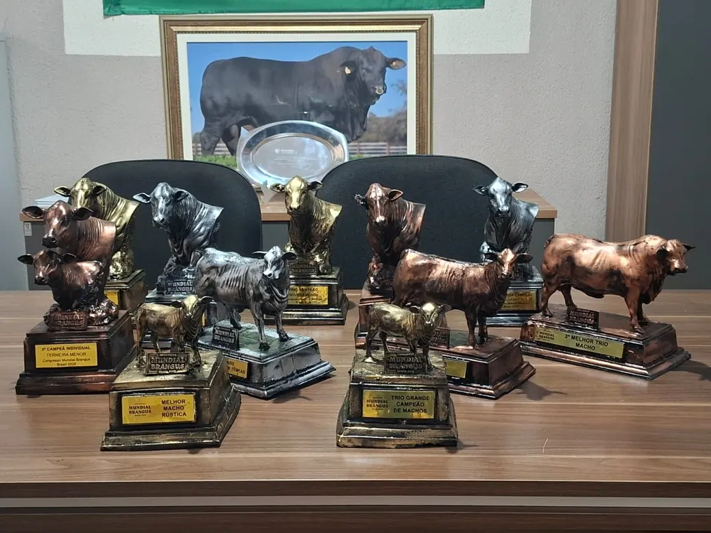 Mesa com os troféus de touro em bronze conquistados pela Guapiara no Congresso Mundial Brangus 2026