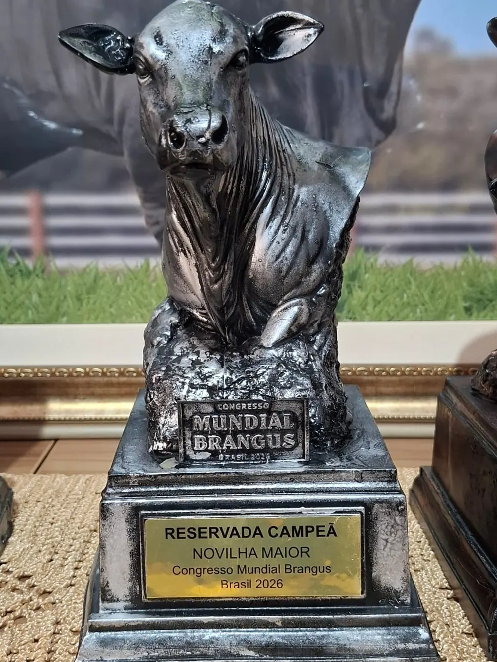 Troféu Reservada campeã novilha maior, Congresso Mundial Brangus 2026, conquistado pela Brangus Guapiara