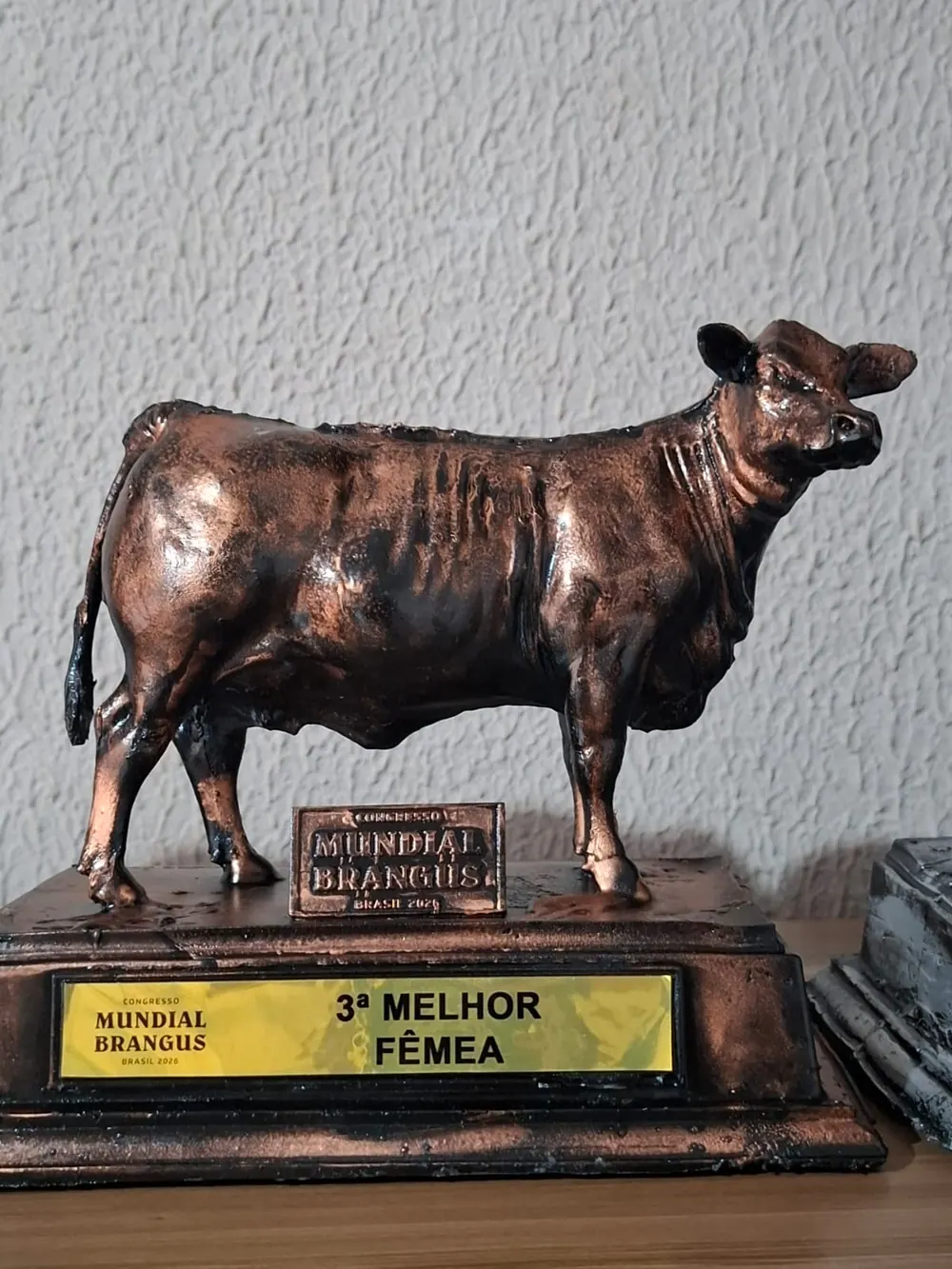Troféu 3ª melhor fêmea, Congresso Mundial Brangus 2026, conquistado pela Brangus Guapiara