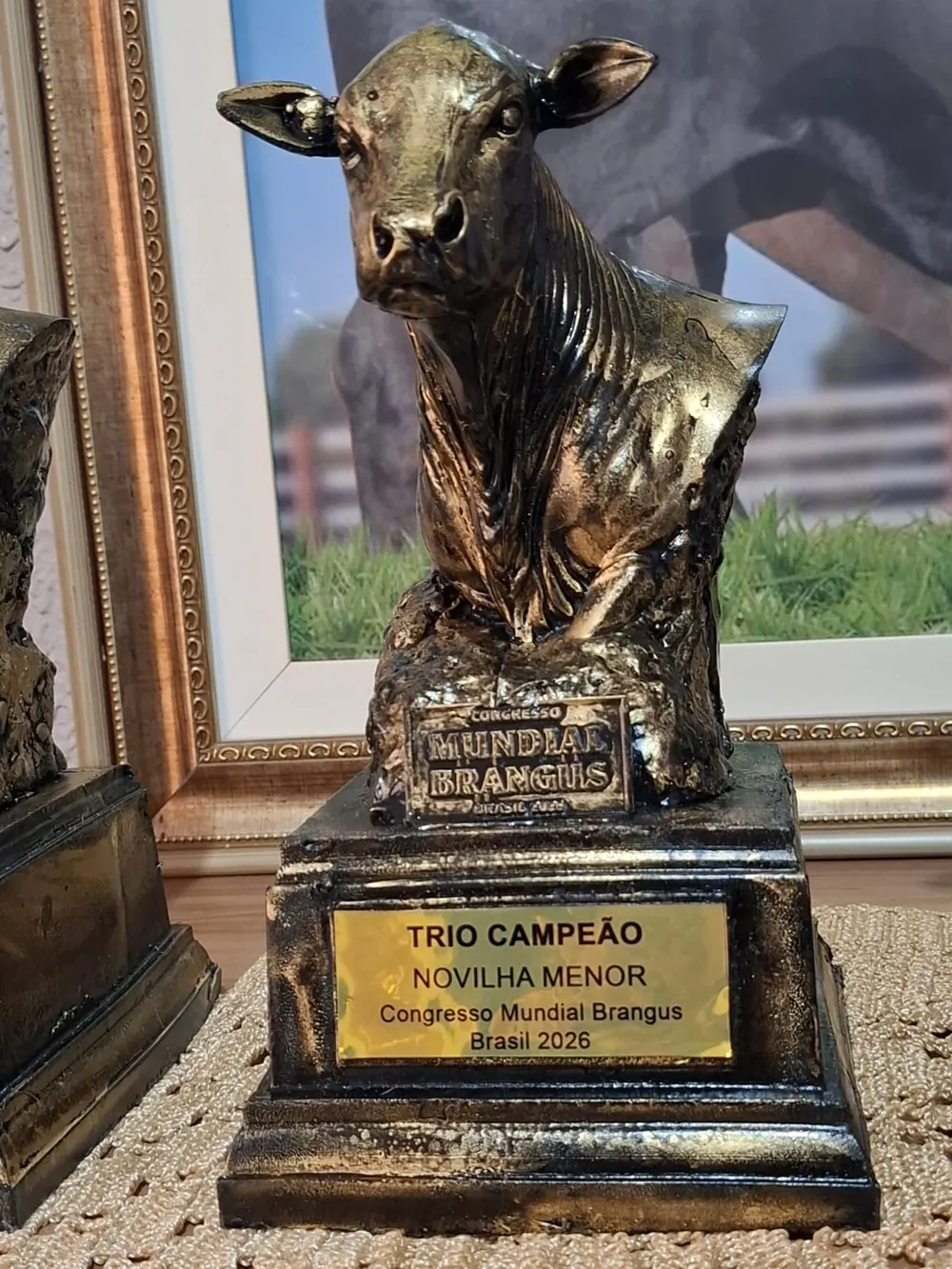 Troféu Trio campeão júnior, Congresso Mundial Brangus 2026, conquistado pela Brangus Guapiara