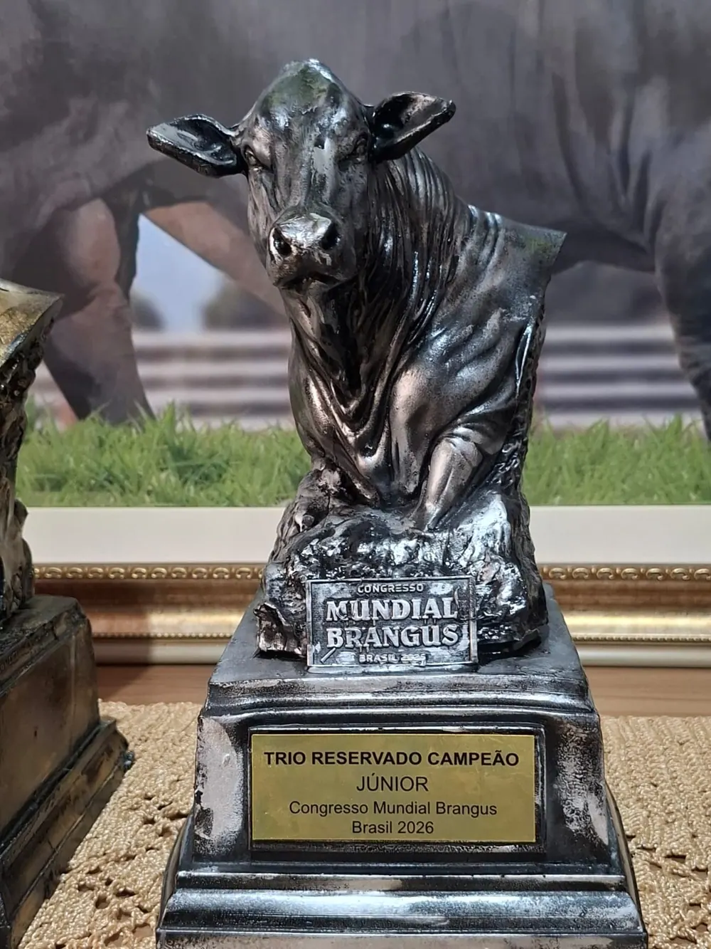 Troféu Trio reservado campeão júnior, Congresso Mundial Brangus 2026, conquistado pela Brangus Guapiara