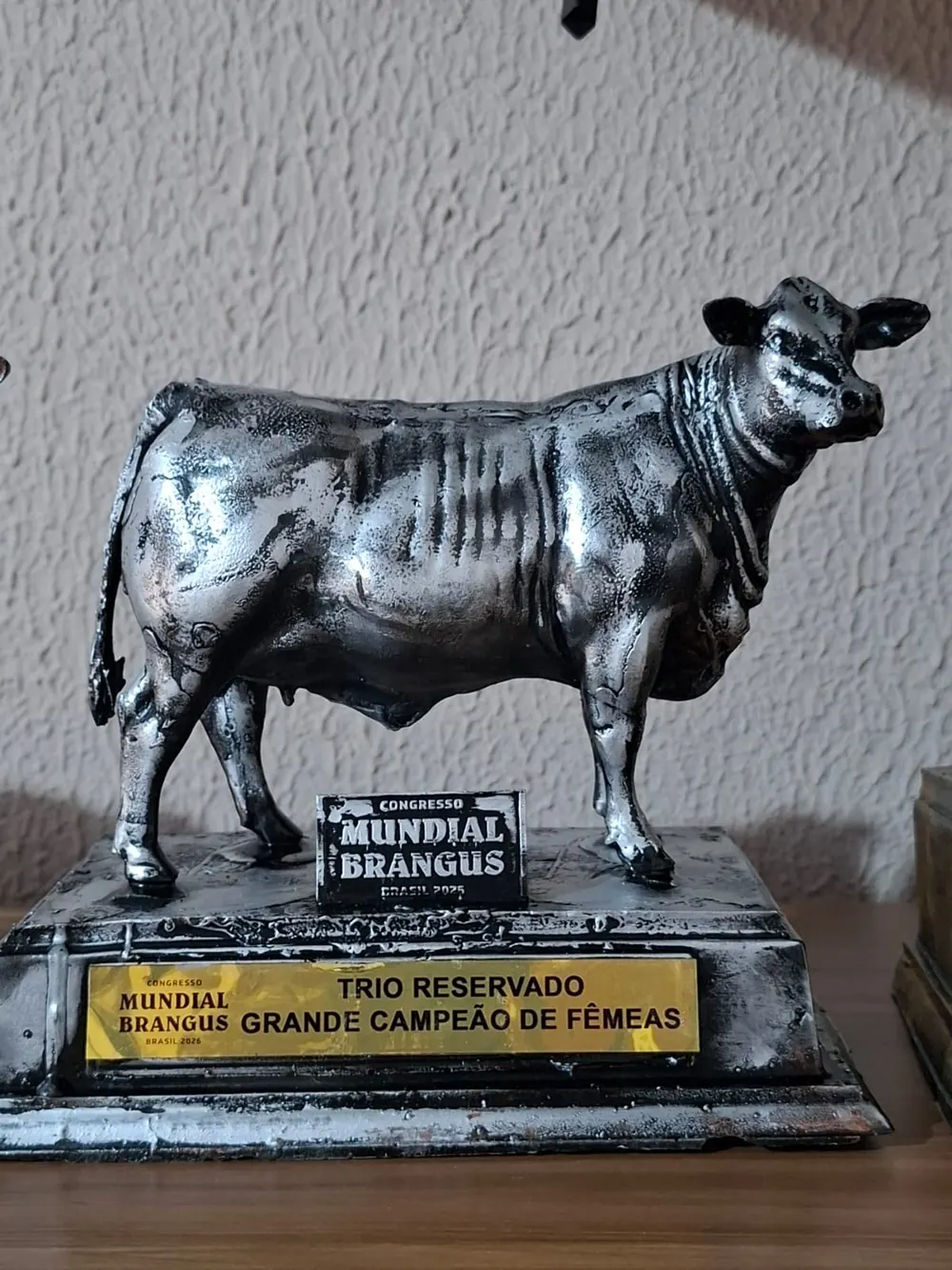 Troféu Trio reservado grande campeão de fêmeas, Congresso Mundial Brangus 2026, conquistado pela Brangus Guapiara