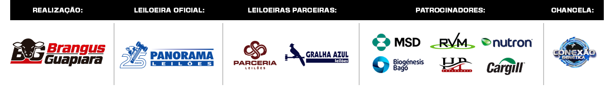 Realização, leiloeira oficial, leiloeiras parceiras, patrocinadores e chancela